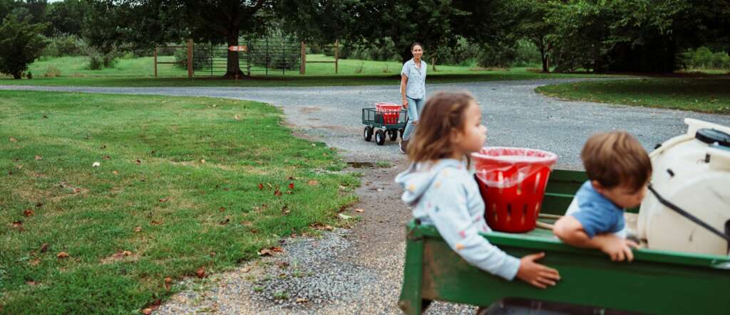 land o lakes inc k71tqkbvigi unsplash